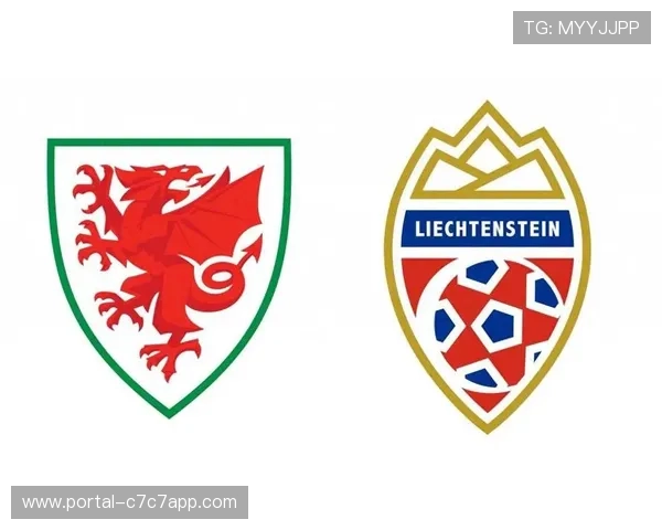 威尔士列支敦士登身价对比：客队全业余阵容